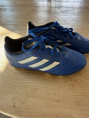 adidas Royal Blue Soccer Cleats with White Stripes